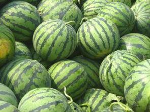 南宁今日头条西瓜价钱,西瓜价格波动，市民关注市场动态”